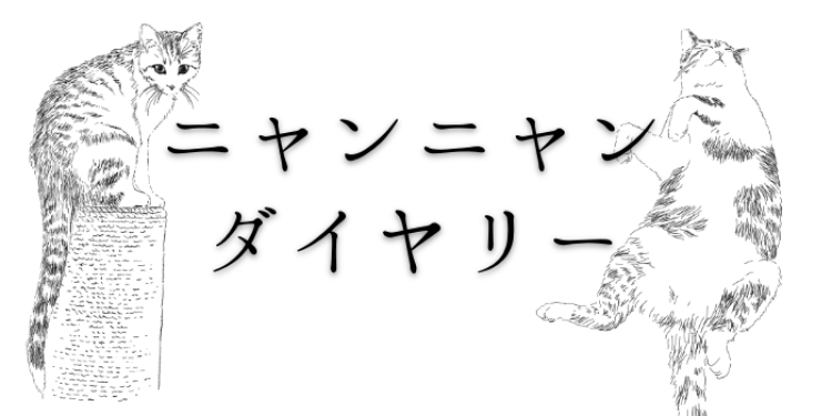 カワイイがいっぱい！ワンダーランド